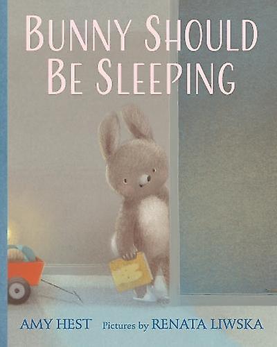 Bunny Should Be Sleeping by Amy Hest Paperback Book