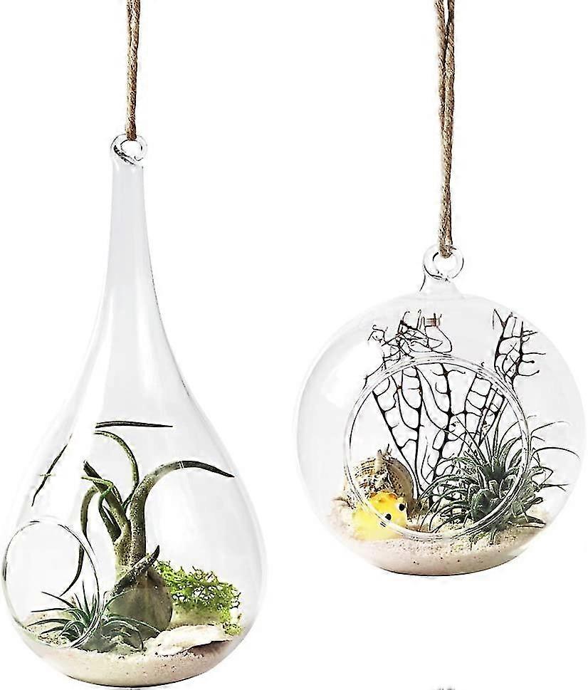 Glas hängande växt vas förpackning med 2