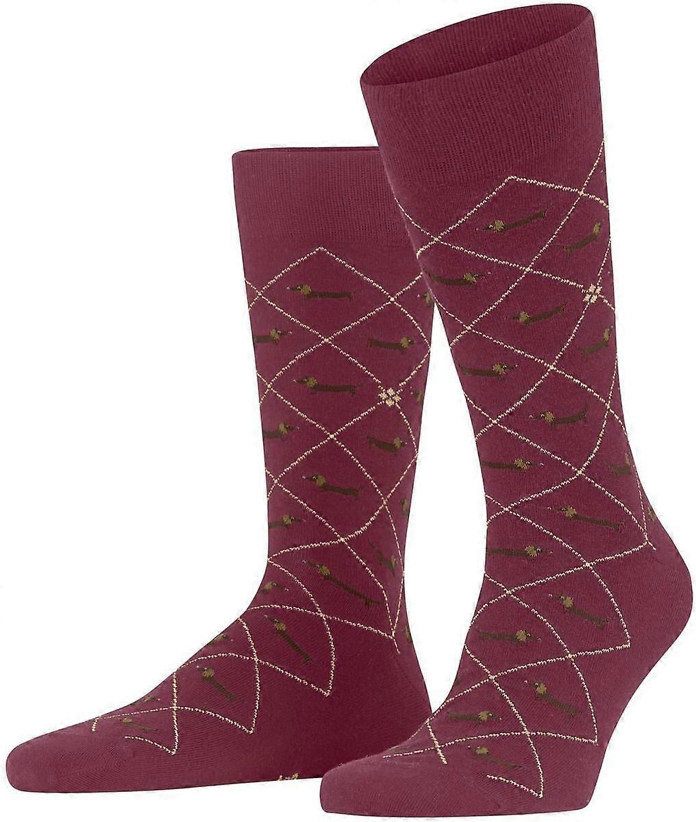 Burlington Dachshund Socks - Burgundy