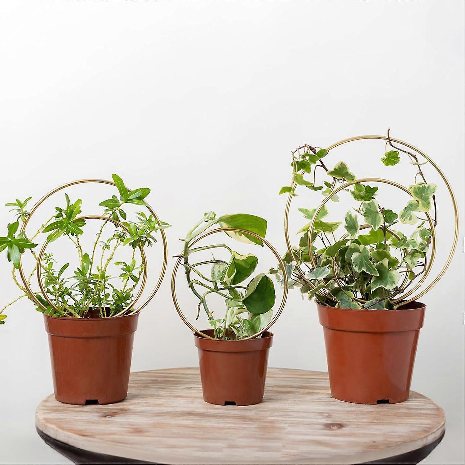 Treillis Hoya - Treillis pour plantes en métal Indoor 3-pack pour plantes grimpantes - Petit treillis de jardin doré pour lierre et fleurs - Motifs uniques - Extérieur en pot