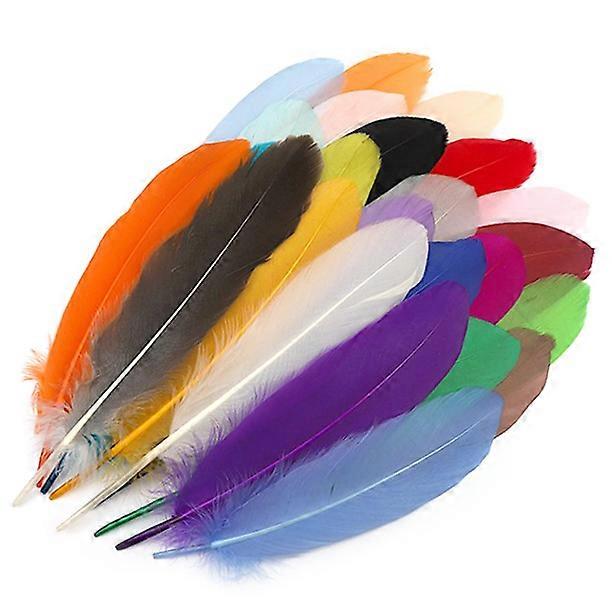Colorful Feathers, Craft Decoration Feathers