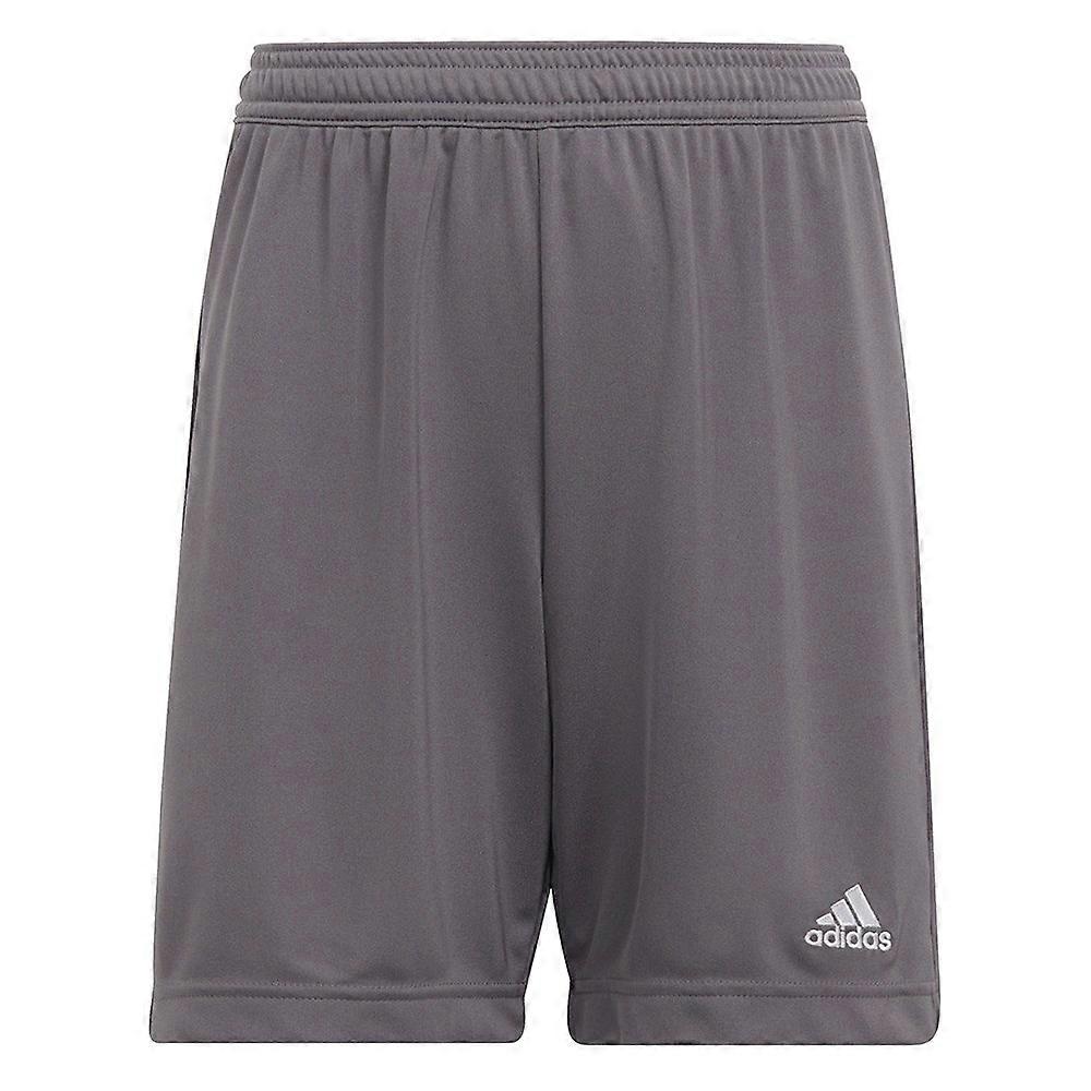 Adidas Entrada 22 H57507 football all year boy