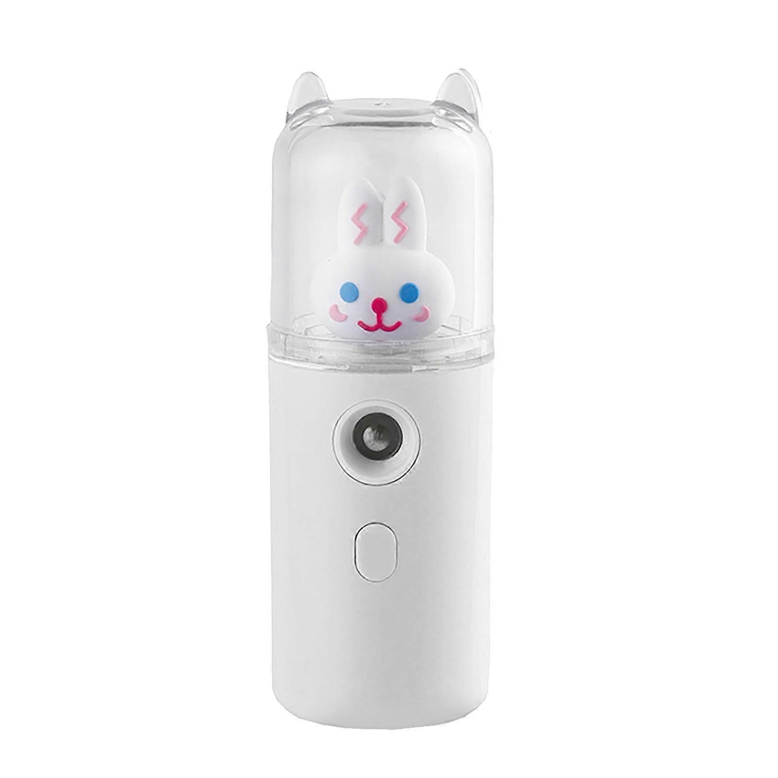 Facial Mist Sprayer 30ml USB Rechargeable Cute Moisturizing Mini Face Humidifier with Colorful Light