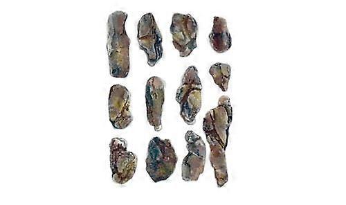 Woodland scenics WC1246 岩石模具 - 溪床 适用于多种规模 岩石比例模型
