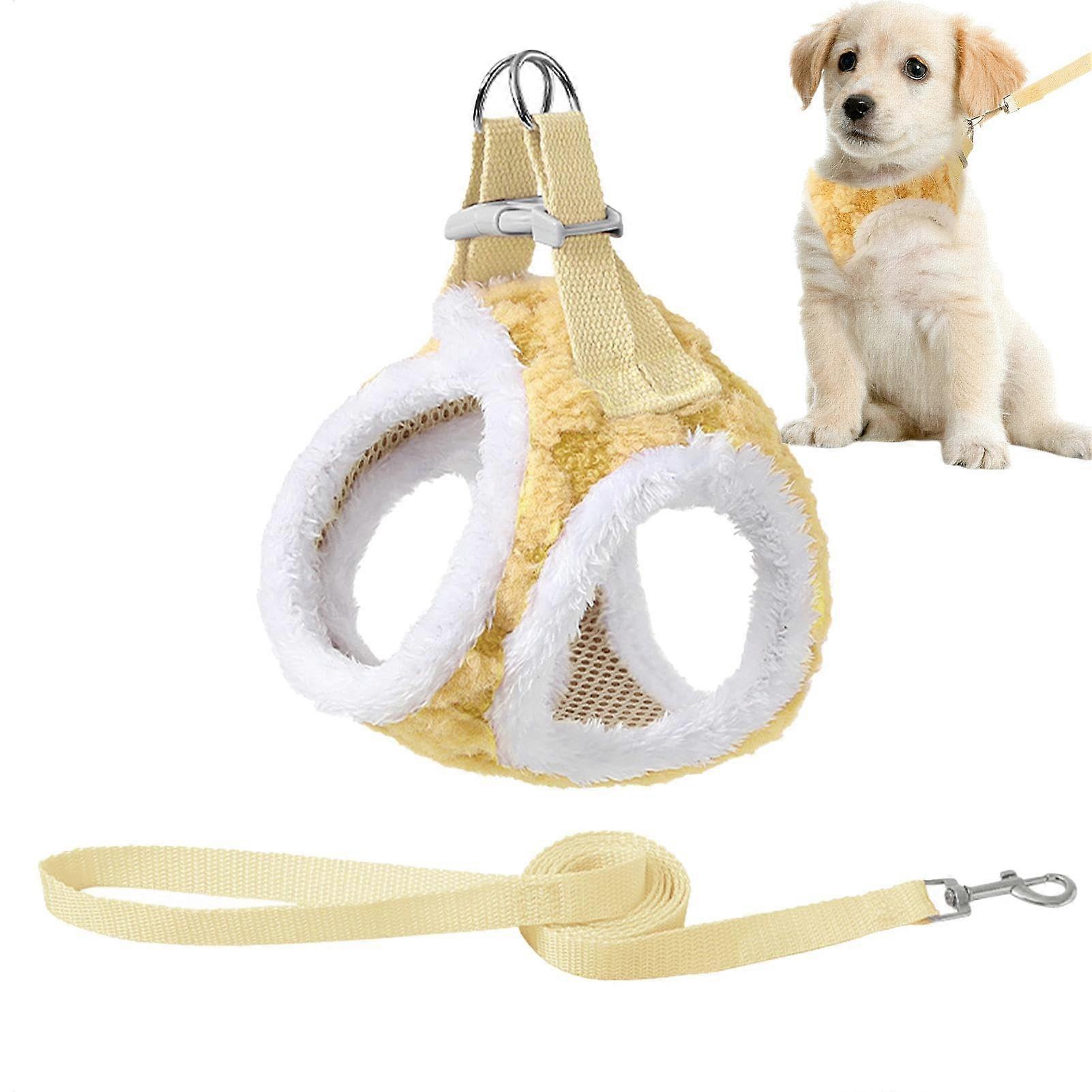 Dog training leash, safely padded design, secure grip, soft and comfortable, firm hold for training and outdoor activities.