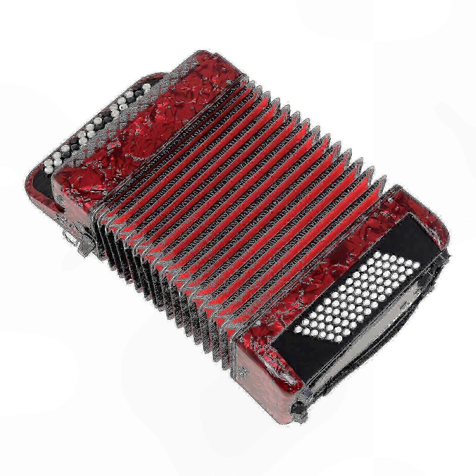 72 Bass Bayan Accordion with 37 Keys - Professional Button Accordion for Adults & Beginners Musical Keyboard Instrument
