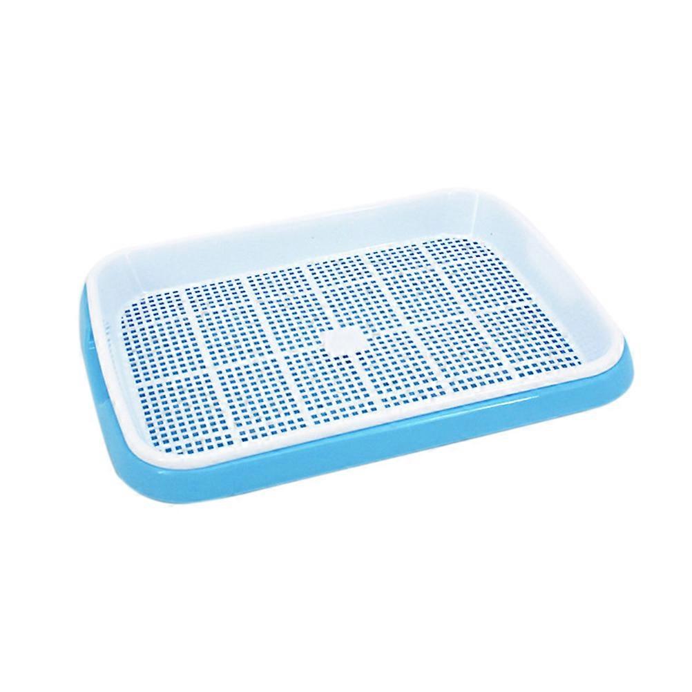 Sprouter Tray Set Sky-Blue 3Pcs Multifunctional Grower for Planting