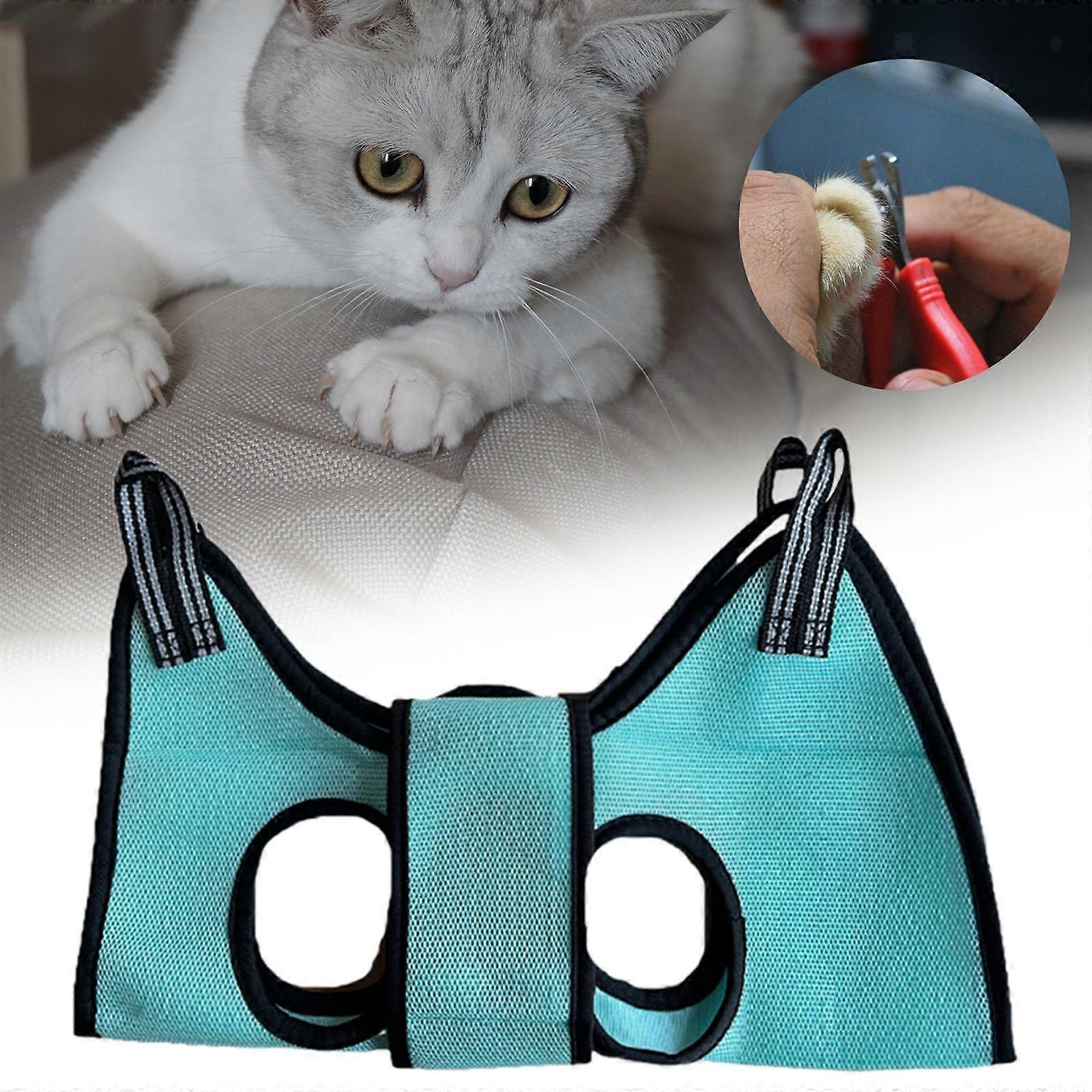 dog grooming harness