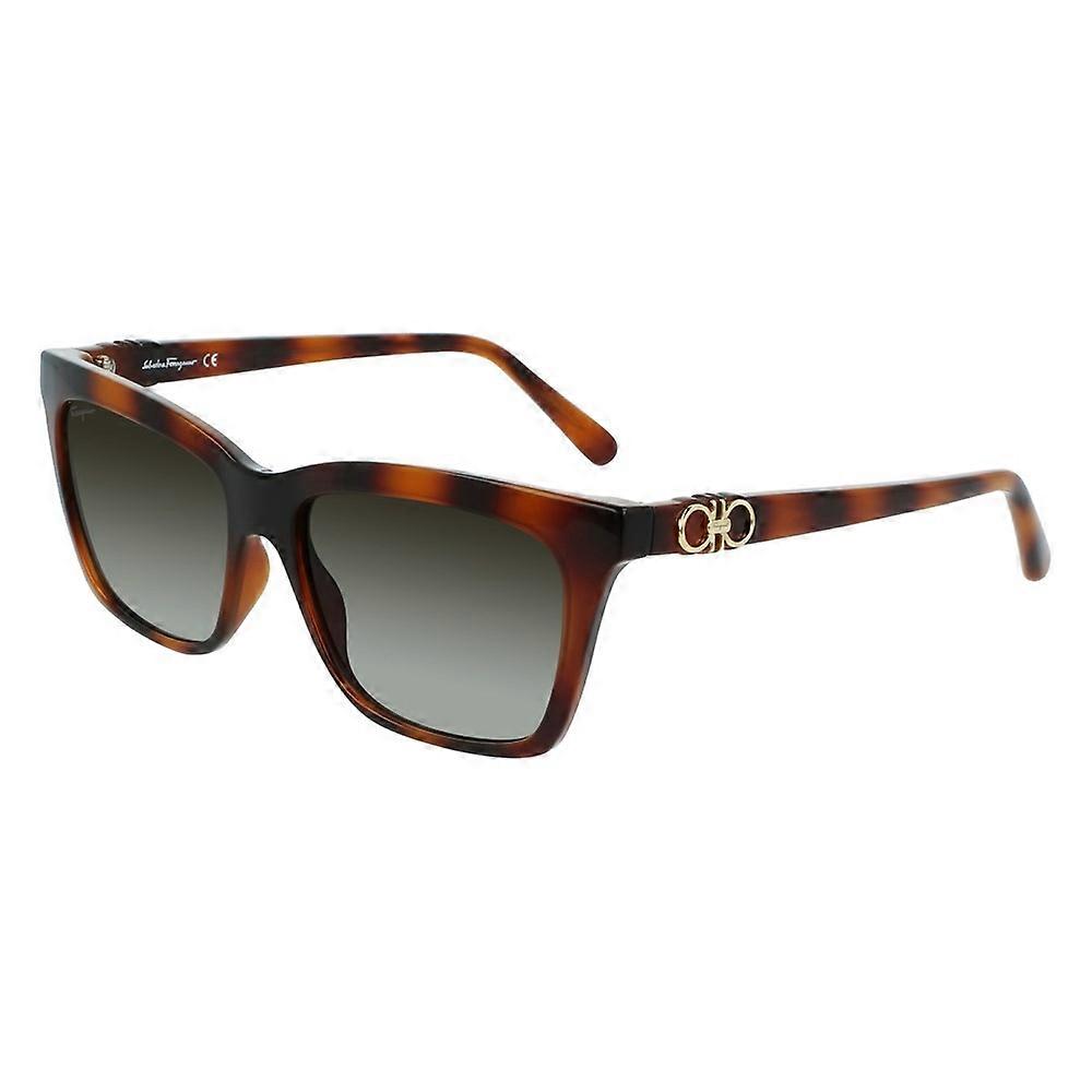 Glasses Ferragamo sf1027s214