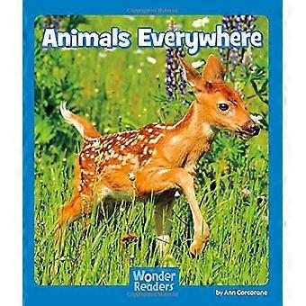 Un zoológico lleno de pájaros (Wonder Readers Nivel Emergente)