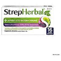 Strepherbal elderberry and echinacea 16 pellets