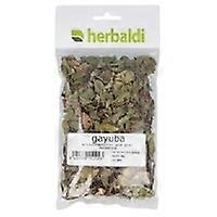herb bearberry leaf 50 g