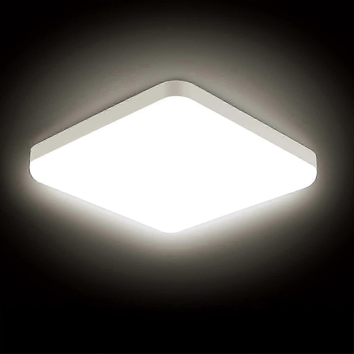 IP56 25cm 30W LED Ceiling Lamp