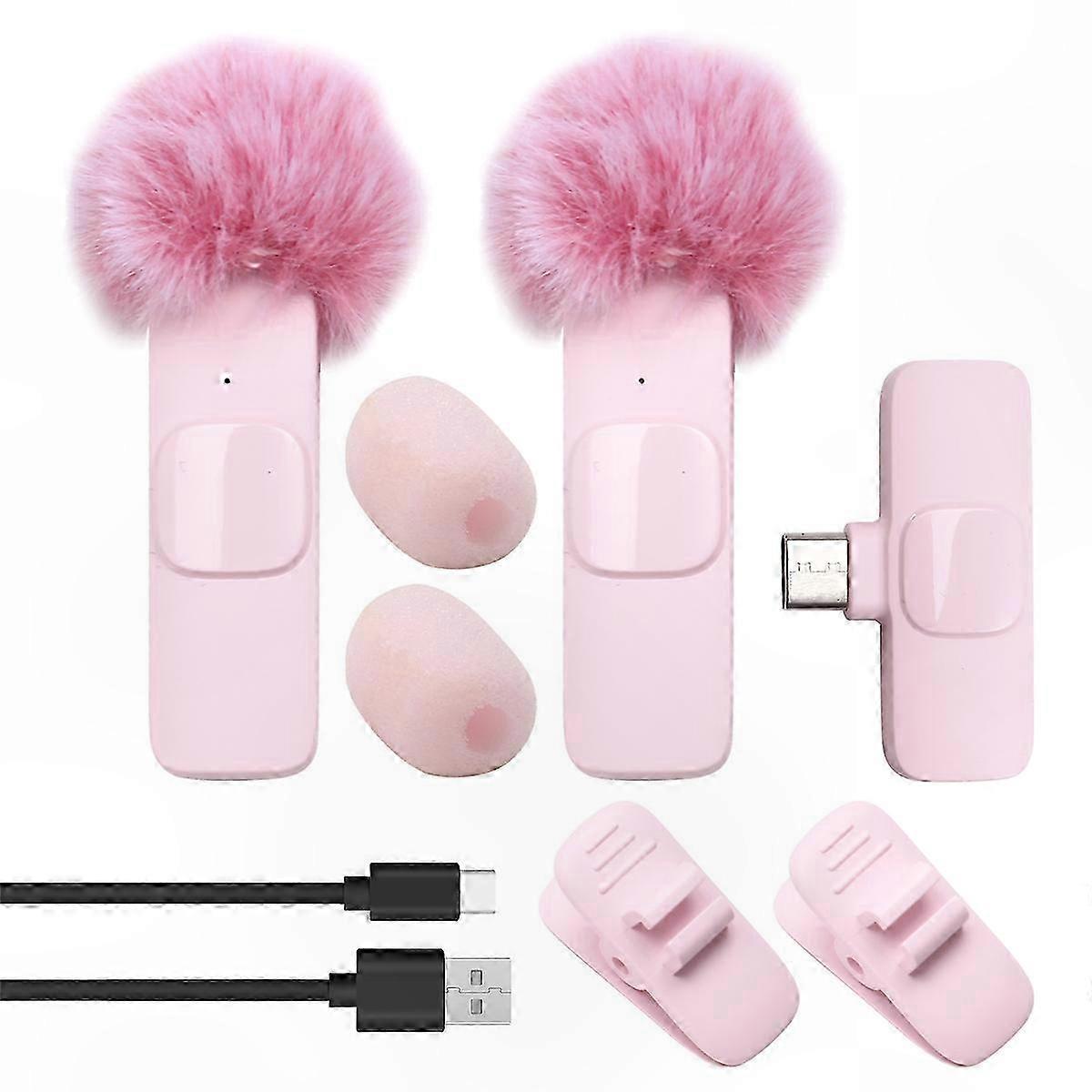Portable Dual Lavalier Mic System