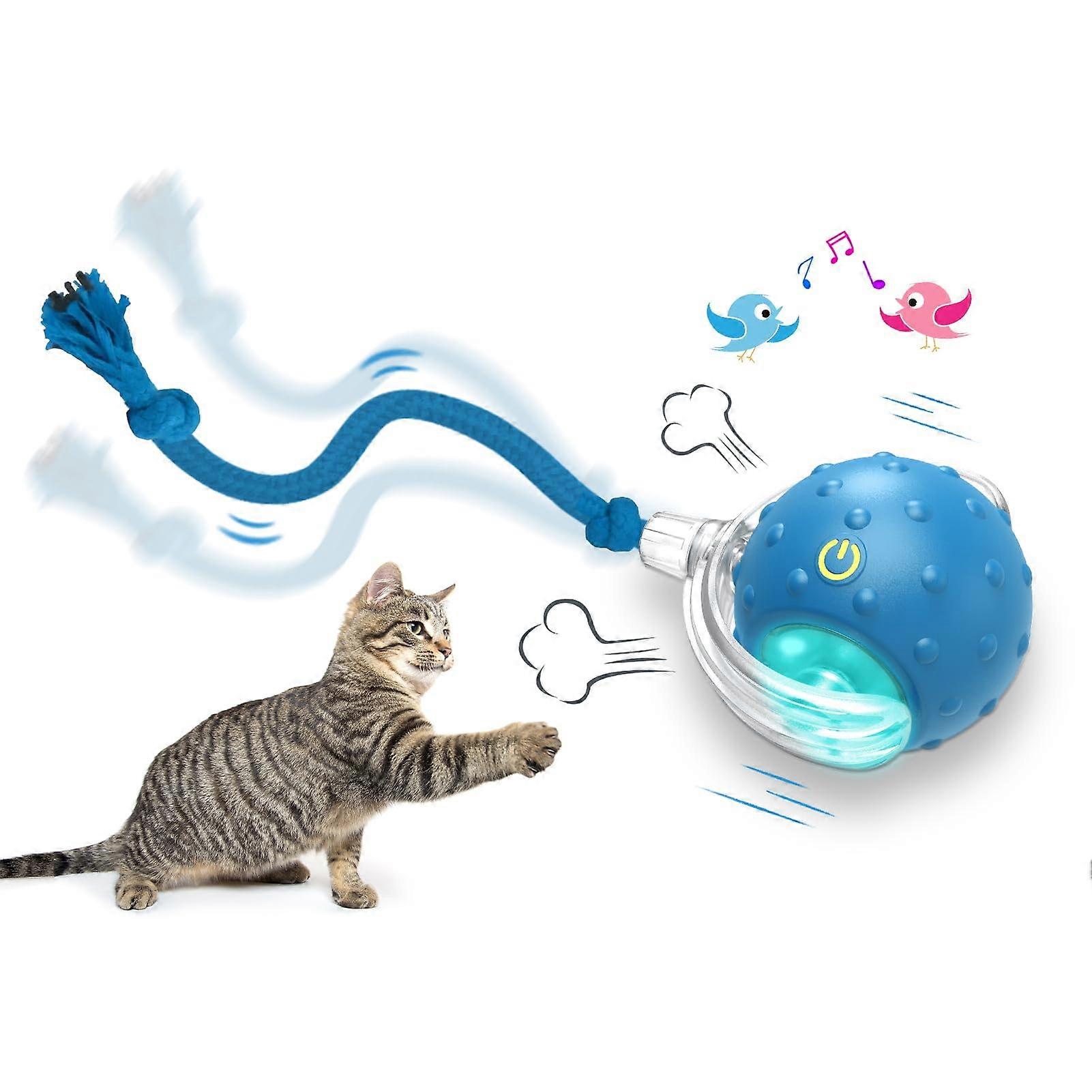 Interactive Cat Toy Ball for Indoor Cats - Fast Rolling Chirping Ball Toy in Blue for Engaging Playtime on Carpet