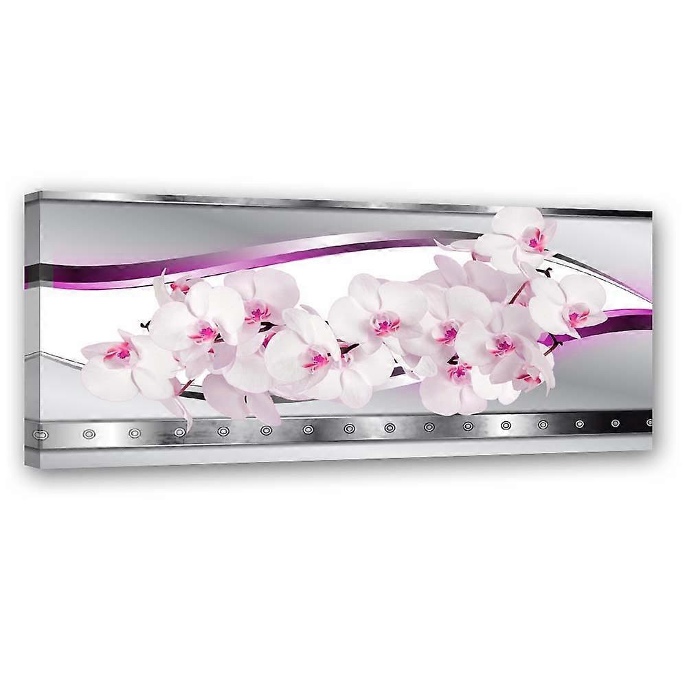 Fotobehang, Wit roze orchidee - 120x40