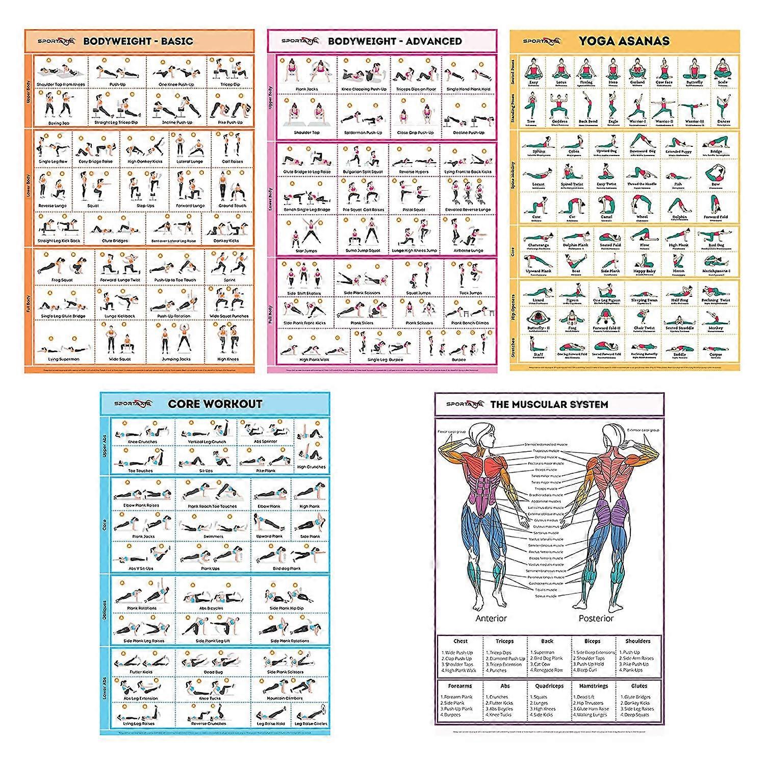 5 Pack Laminated Workout Posters for Home Without Equipment Color Illustrations