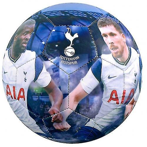 托特纳姆热刺足球俱乐部 球员 成人 （男女通用） 摄影 足球