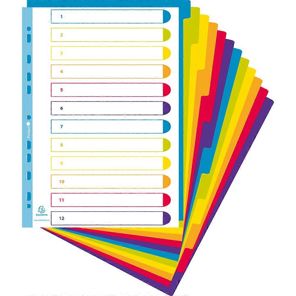 Exacompta 3812E 15x Separadores PP A4+ 12 posiciones CAMPUS