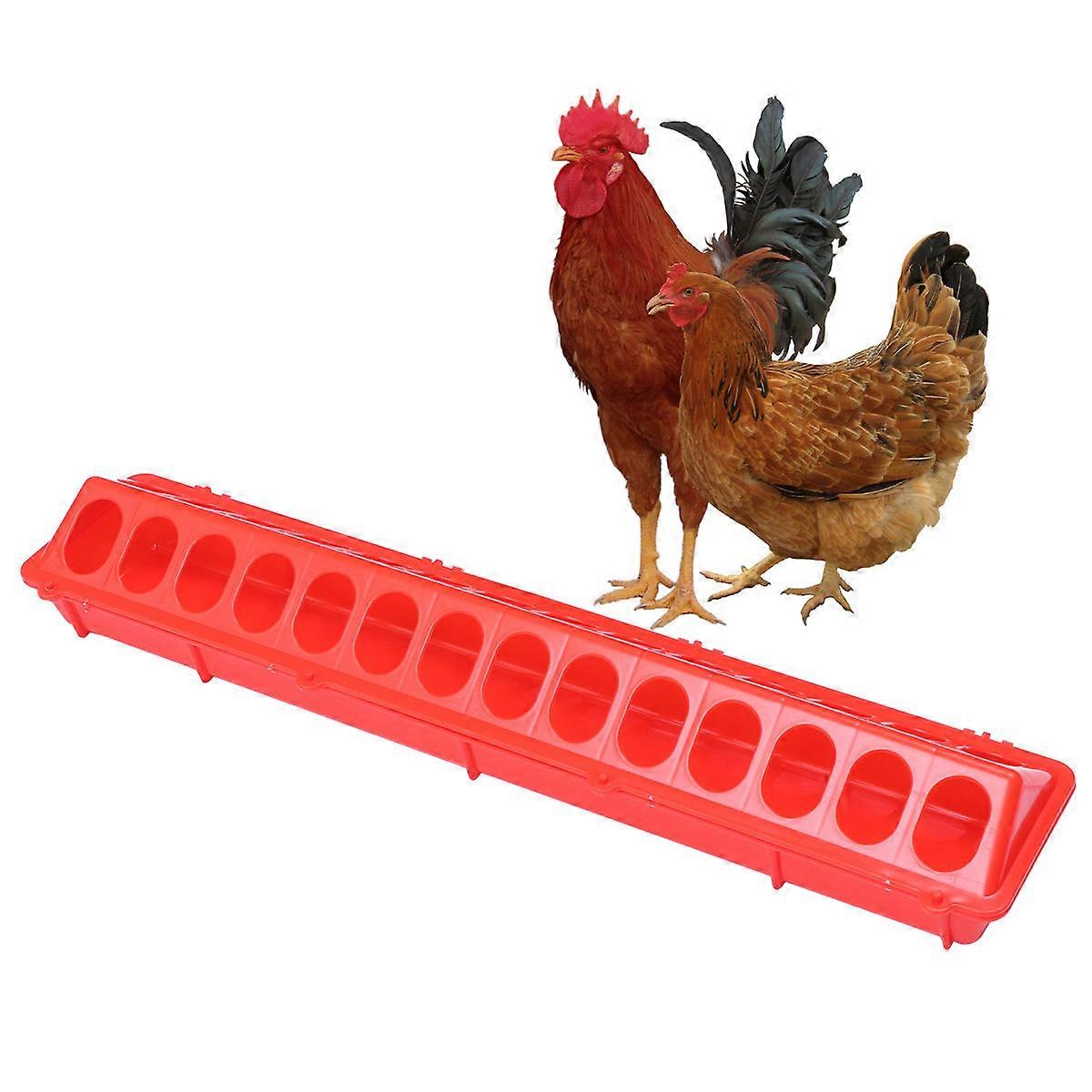 Feeder for Pigeon Pigeon Feeding Trough Prevent Food Contamination Easy to Clean Small Birds Pet Owners 1Pc