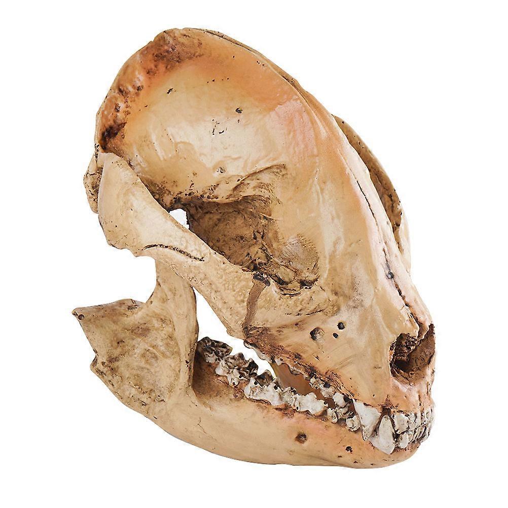 Panda Skull Model Decoration Simulation Skull Model for Home Decor 1Pcs