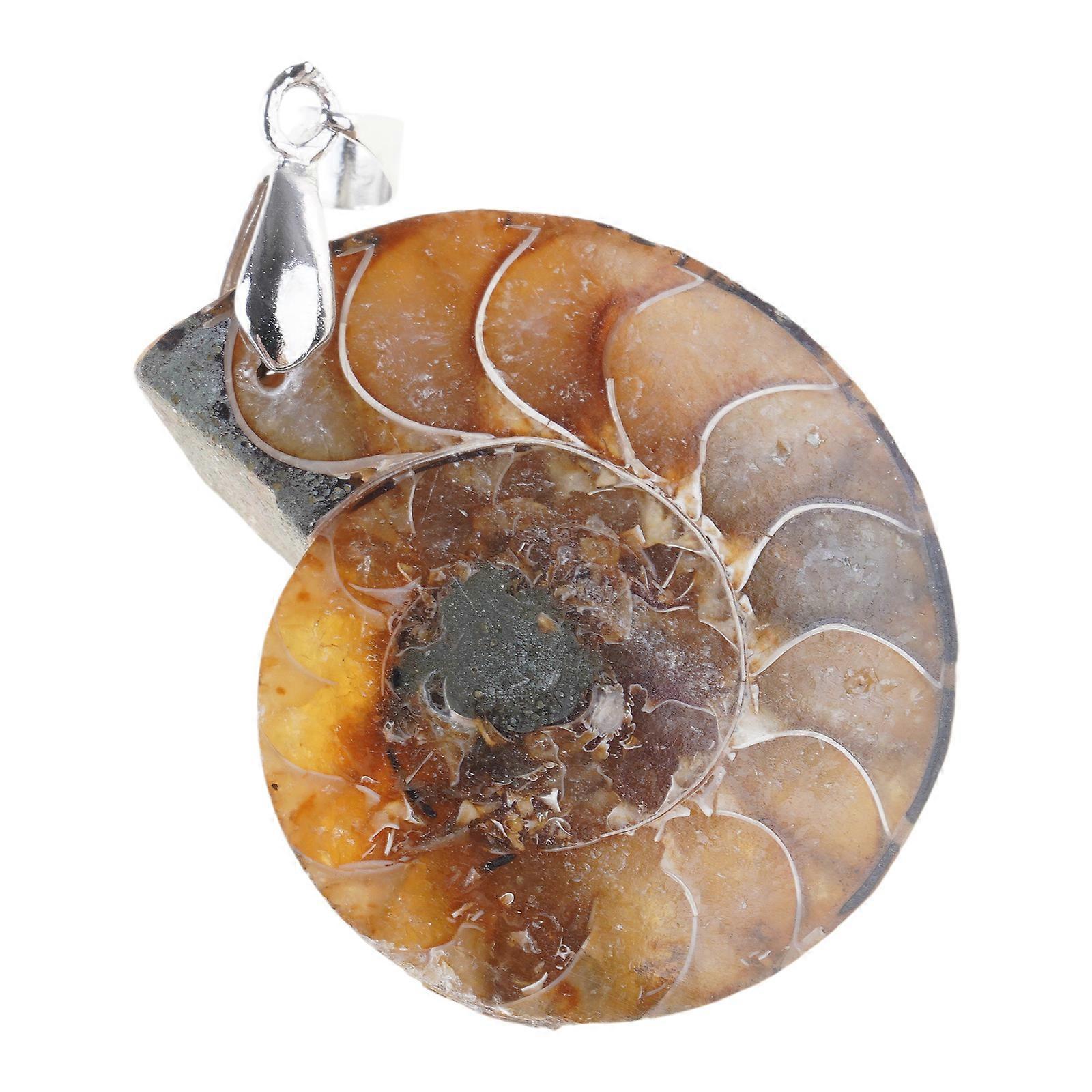 Silver Tone Ammonite Fossils Stone Pendant for w/ Loop Natural Ammonite Fossils Charms for DIY Craft Bracelet Jewelry Ma Multicolor