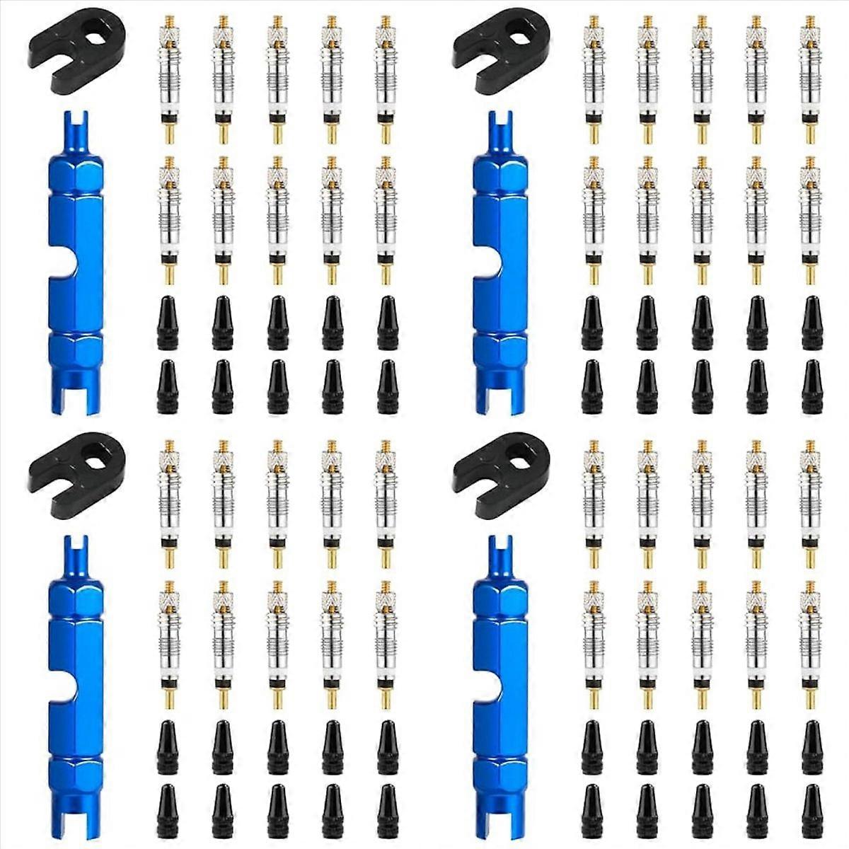 40pcs Valve Core for Presta,Valve Core Bike Bicycle Replacement with 8 Valve Core Remover Tools&40 V