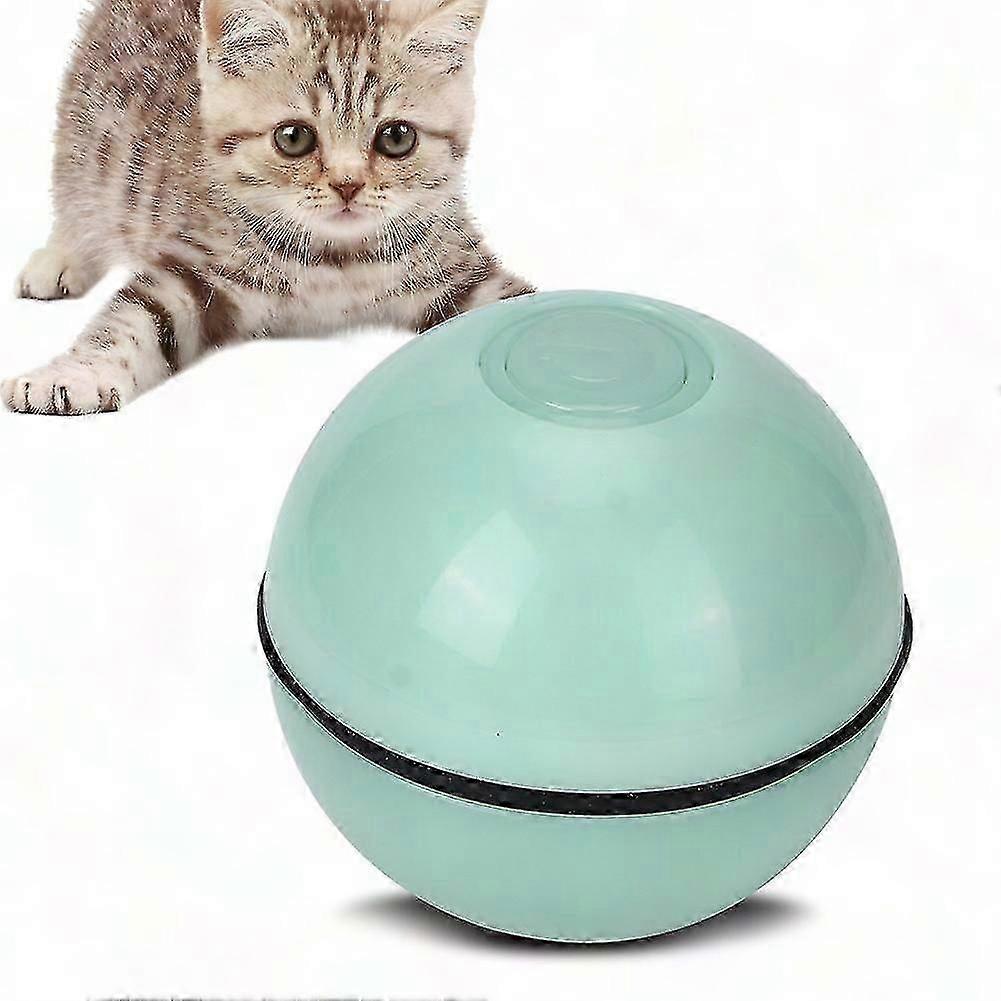 Engaging Puzzle Ball for Cat and Pet Skill Development Plaything