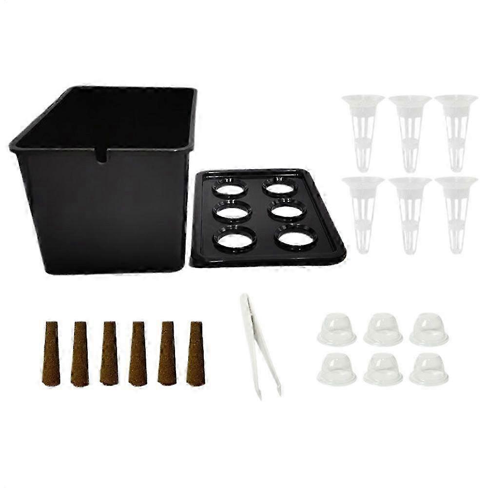 Hydroponic Planting Kit