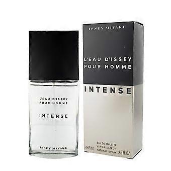 Men's Perfume Issey Miyake EDT