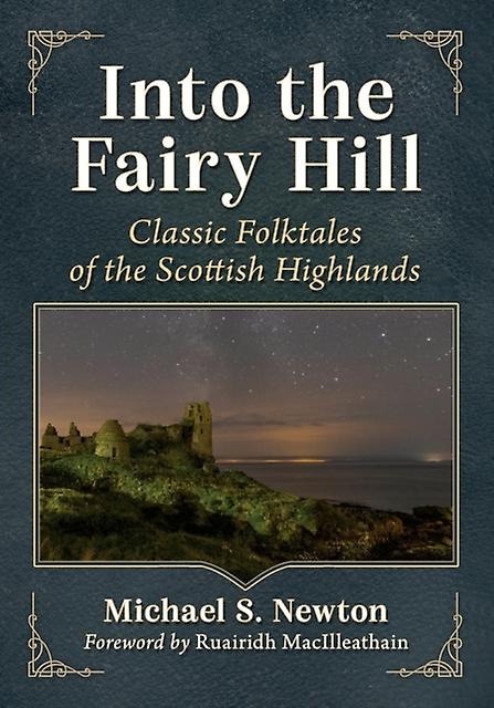 Into The Fairy Hill by Michael S. Newton Paperback
