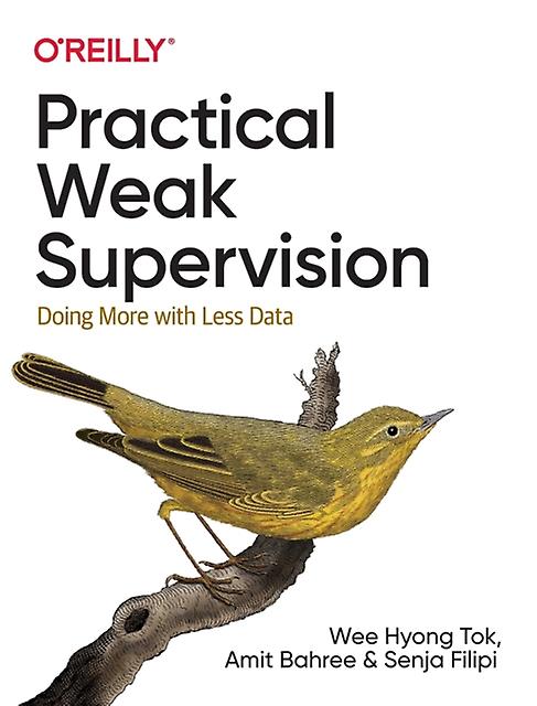 Practical Weak Supervision by Senja Filipi Paperback