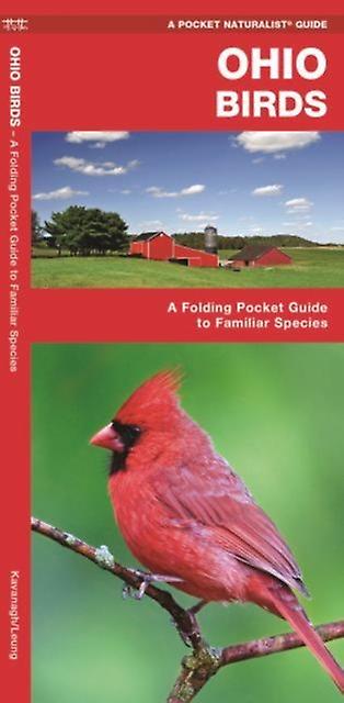 Ohio Birds  A Folding Pocket Guide To Familiar Species by James Kavanagh Book