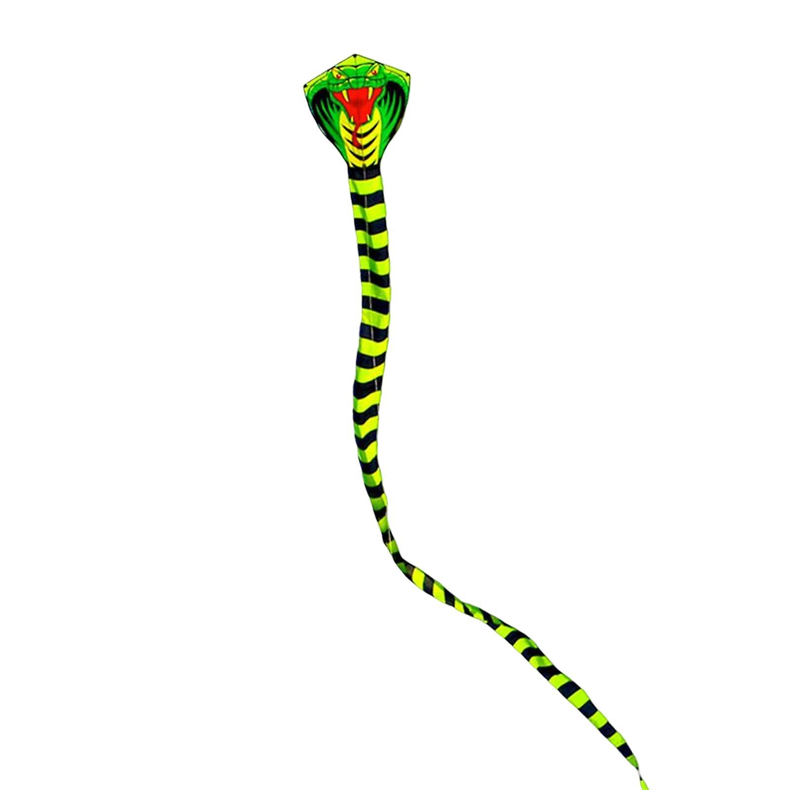 Huge Colorful Kite 3D Single Line Kite Easily Fly for Beach Backyard Cyprinus