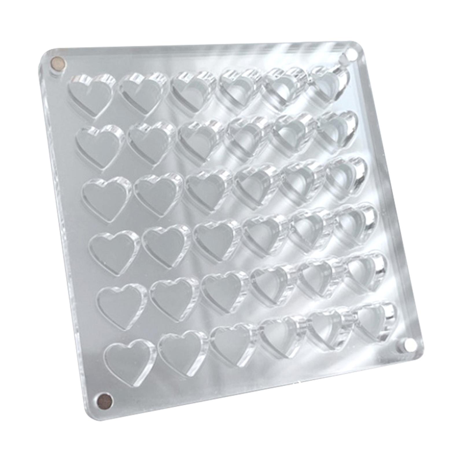 Clear Seashell Display Box with Magnetic Lid Space-Saving Stackable Craft Container for Workshops