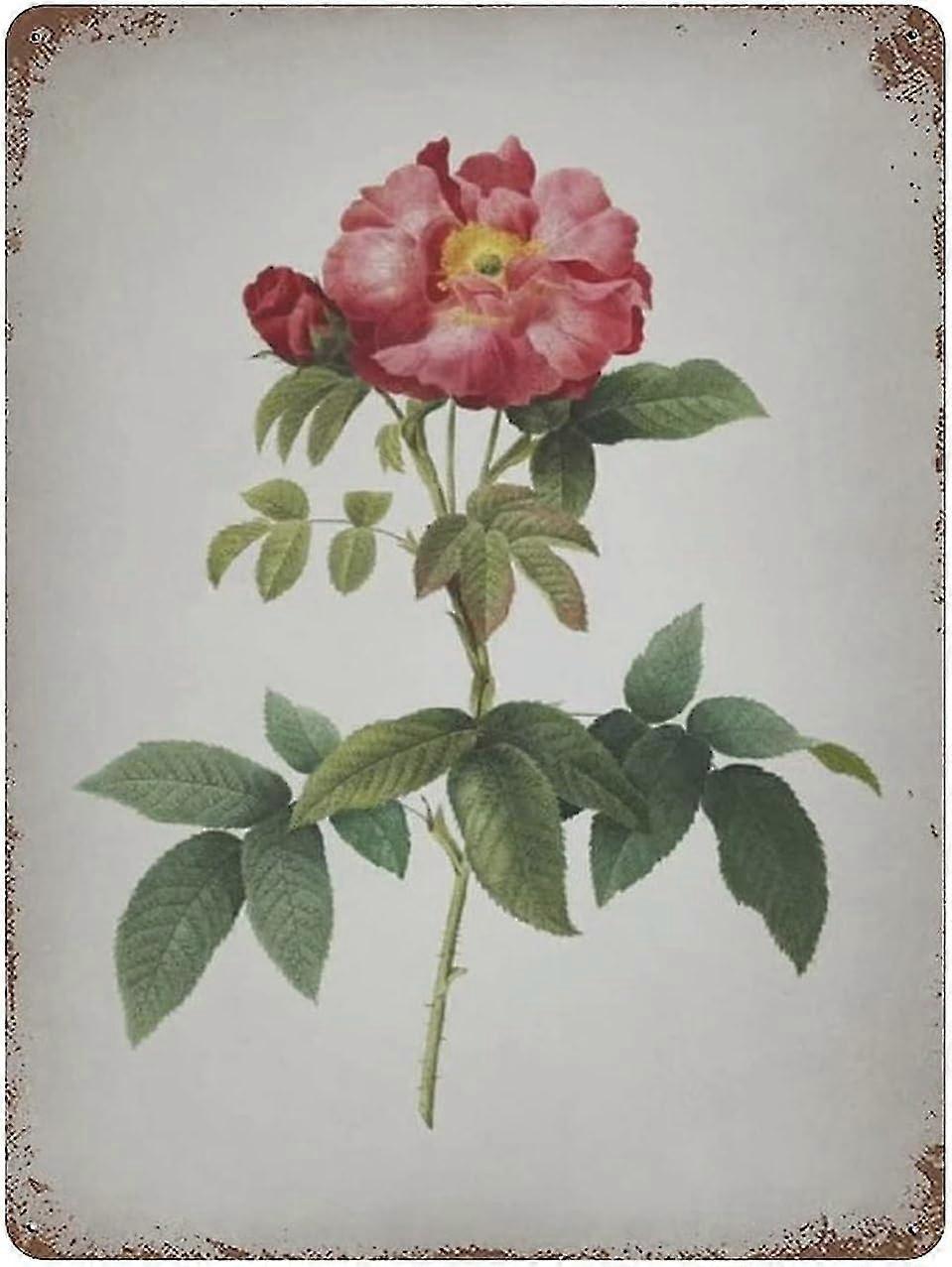 Placa de Metal Blooming Provins Rose Decoração 8x12 Polegadas OU 12x16 Polegadas Modo 1762