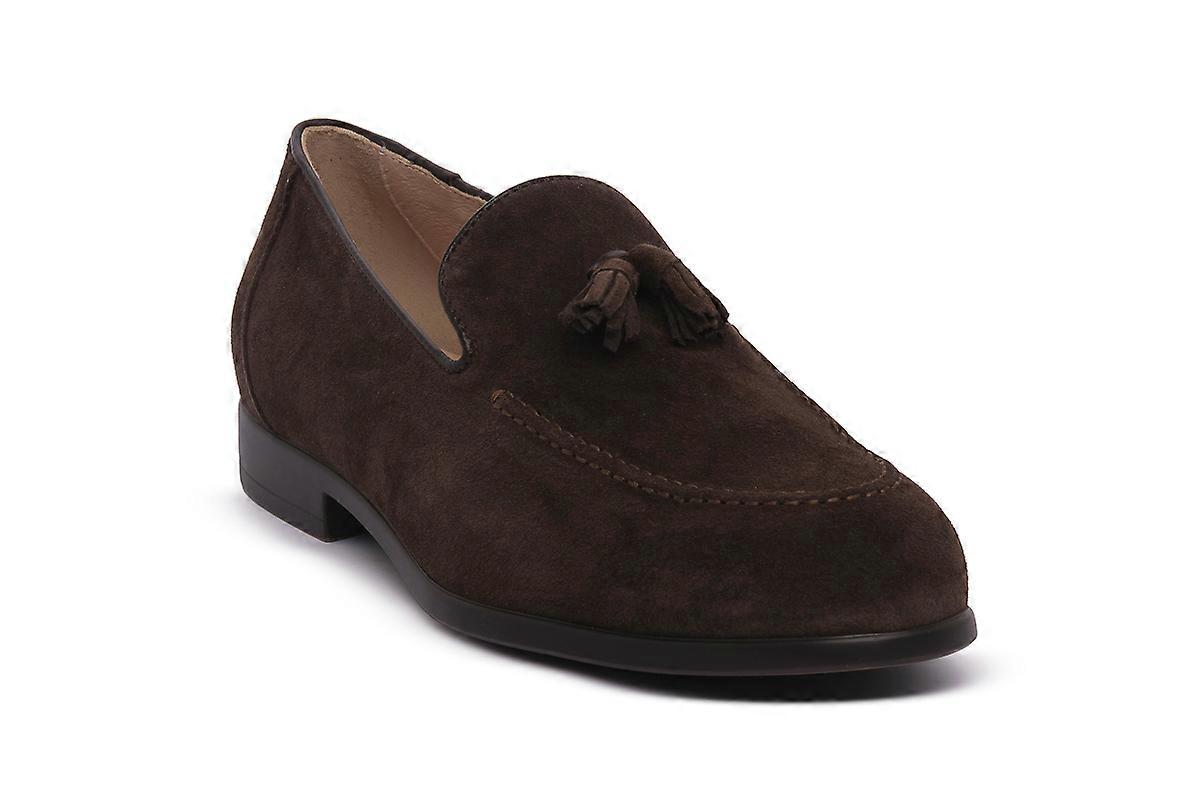 Nero Giardini 300 arold colo moro sneakers mode