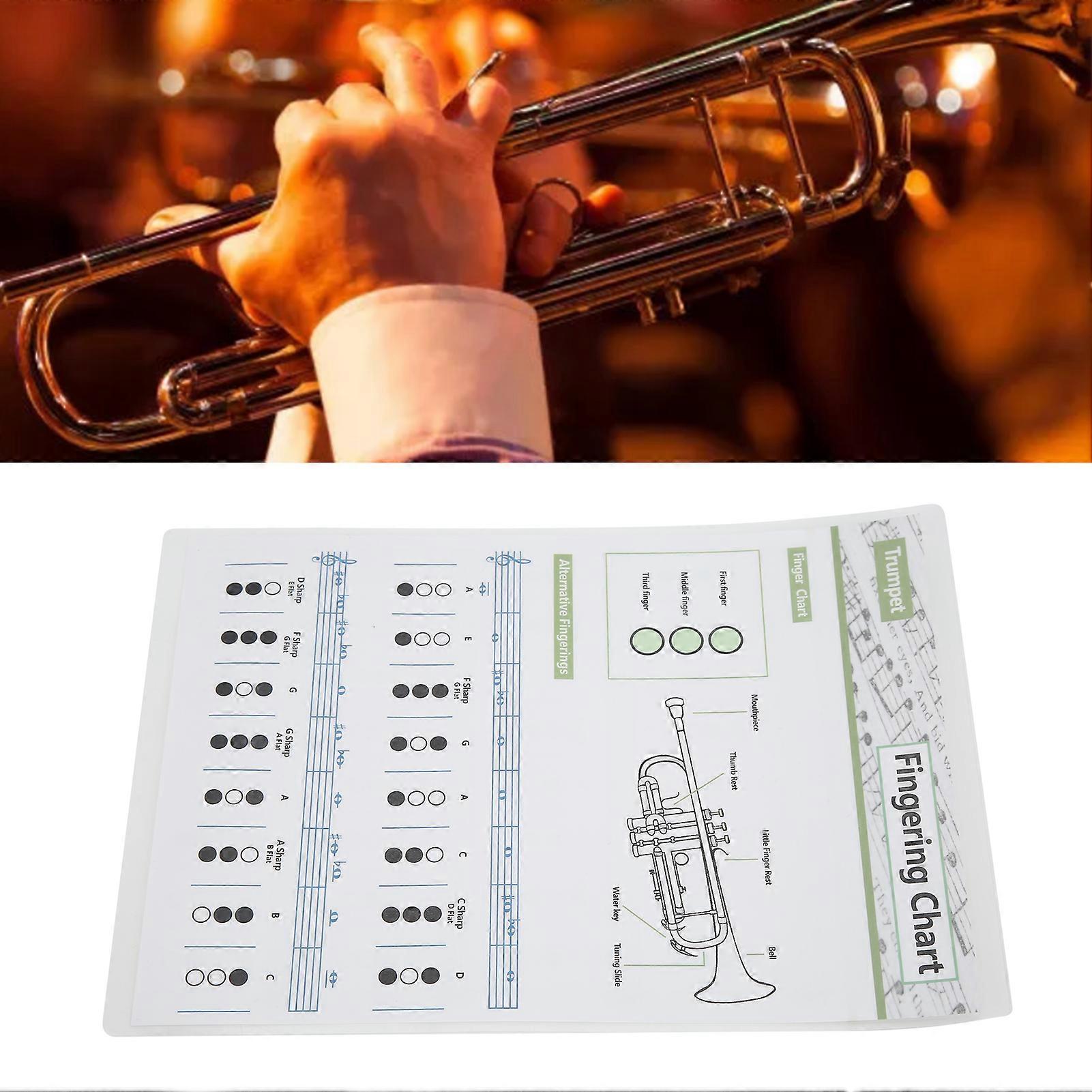 Trumpet Chord Chart Fingering Note Music Instrument Reference Guide for Home ClassSmall 