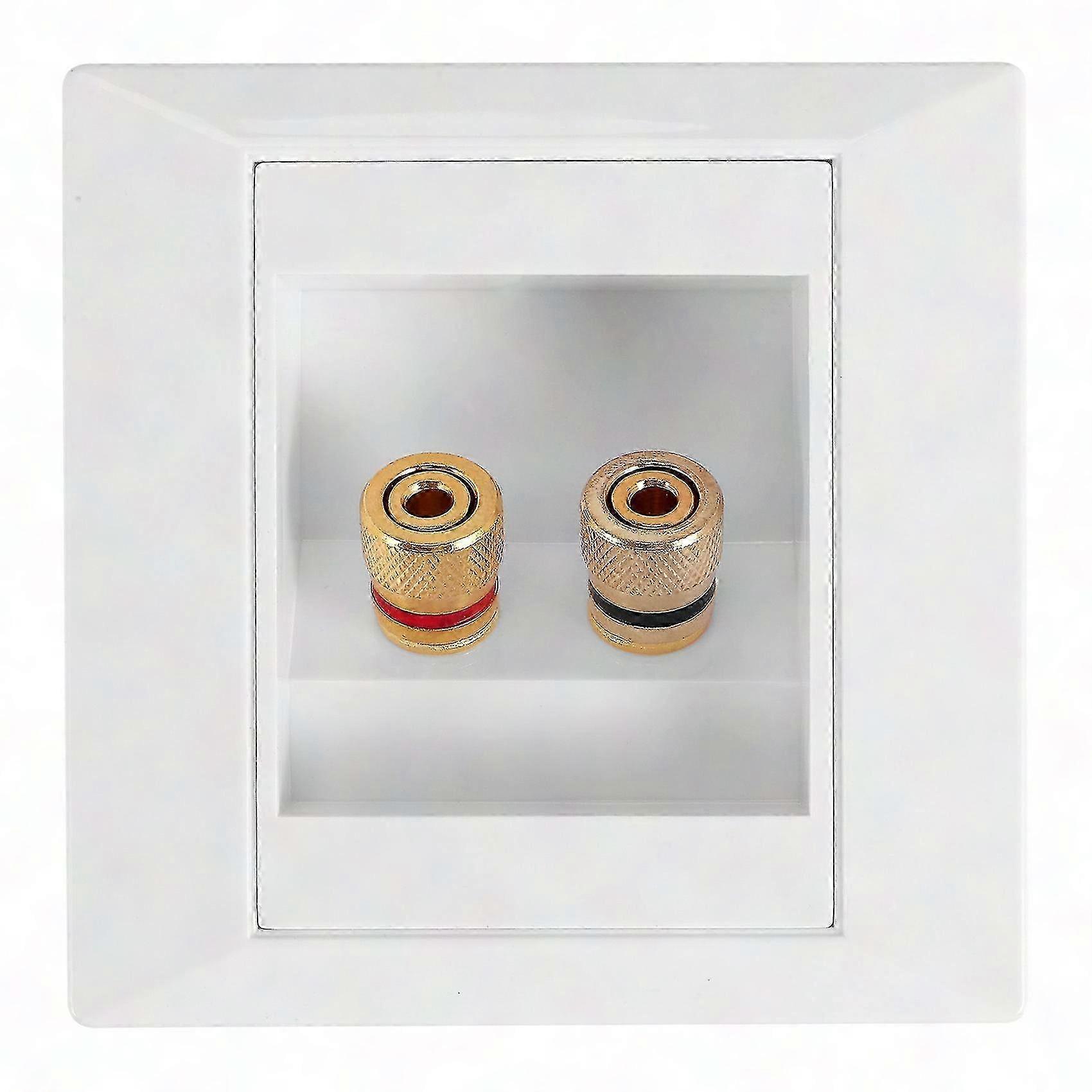 Wall Socket Connection Port with 2 Speaker