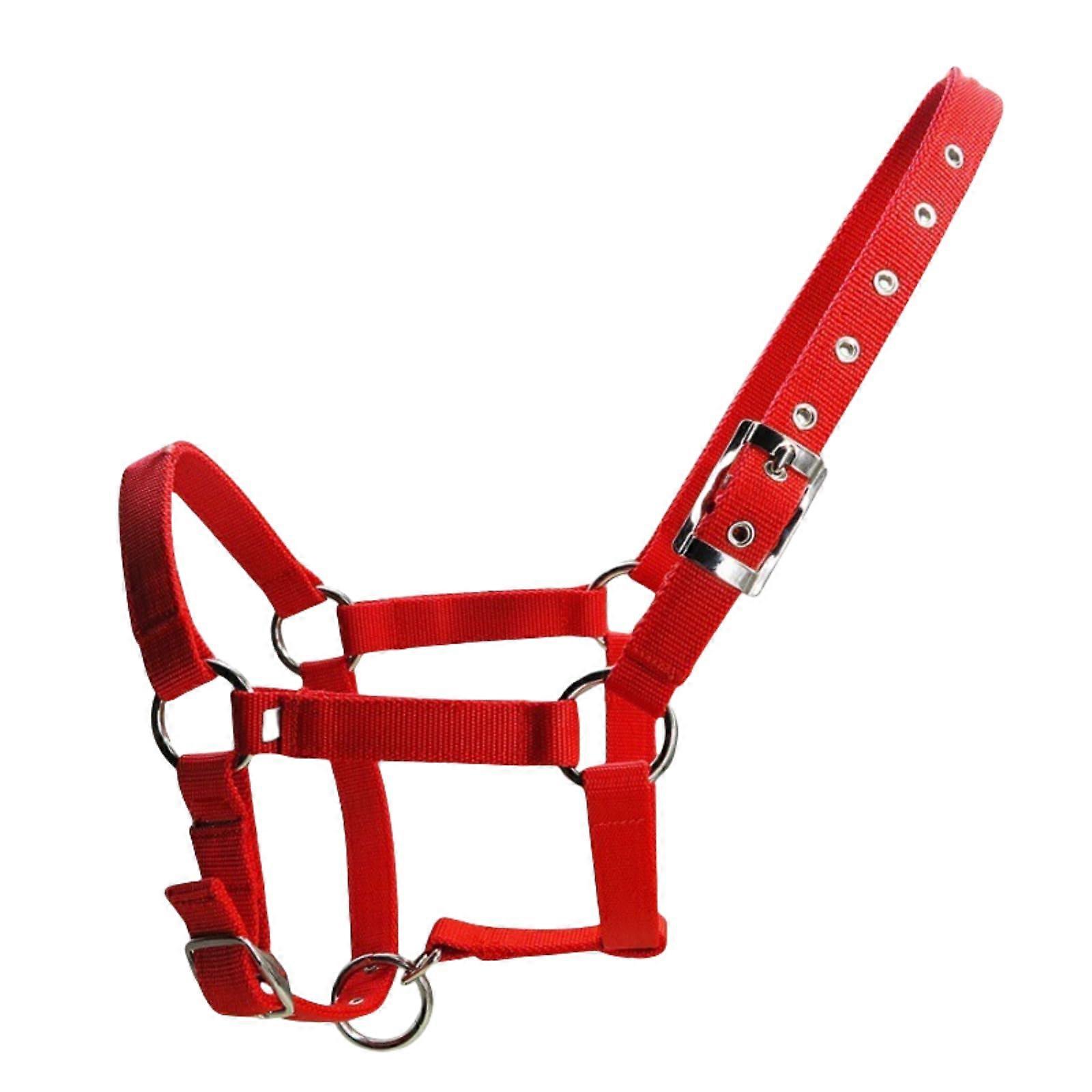 Equestrian Training Donkey Halter Adjustable Rope Included Large Red For Hobby Training Donkeys And Horses