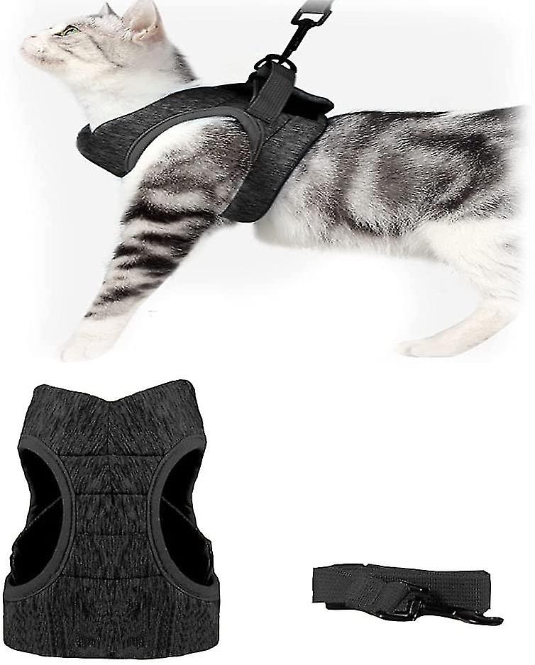 Cat Harness - Cat Harness, Escape Proof, Cat Set, Adjustable Harness For Small