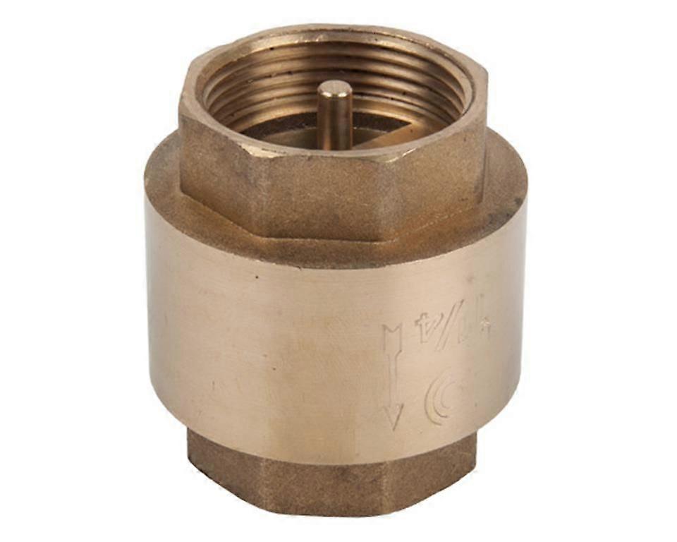 Spring Loaded Brass Check Valve - 65mm