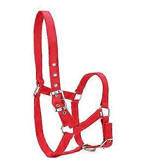 High Density 6mm Thickened Webbing Horse Bridle Control Halter Riding Accessories Red Color