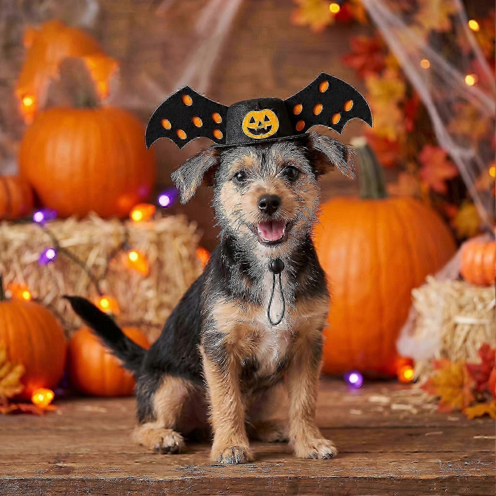 Lightweight Bat Wing Pet Hat