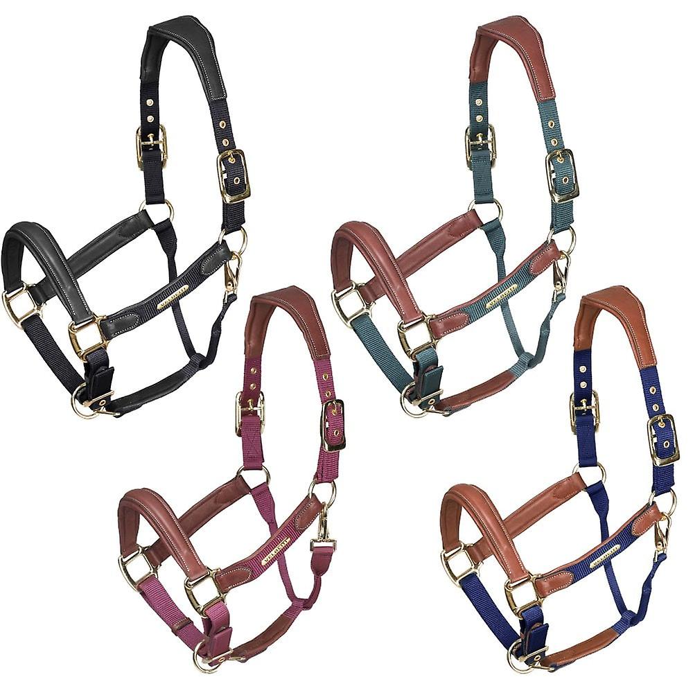 Shires Velociti Lusso Padded Leather Headcollar