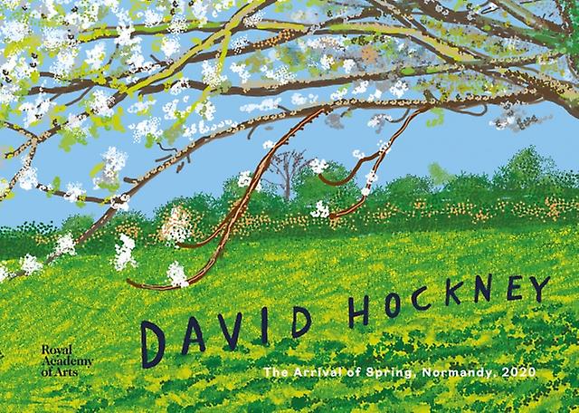 David Hockney by Edith Devaney Hardback Book