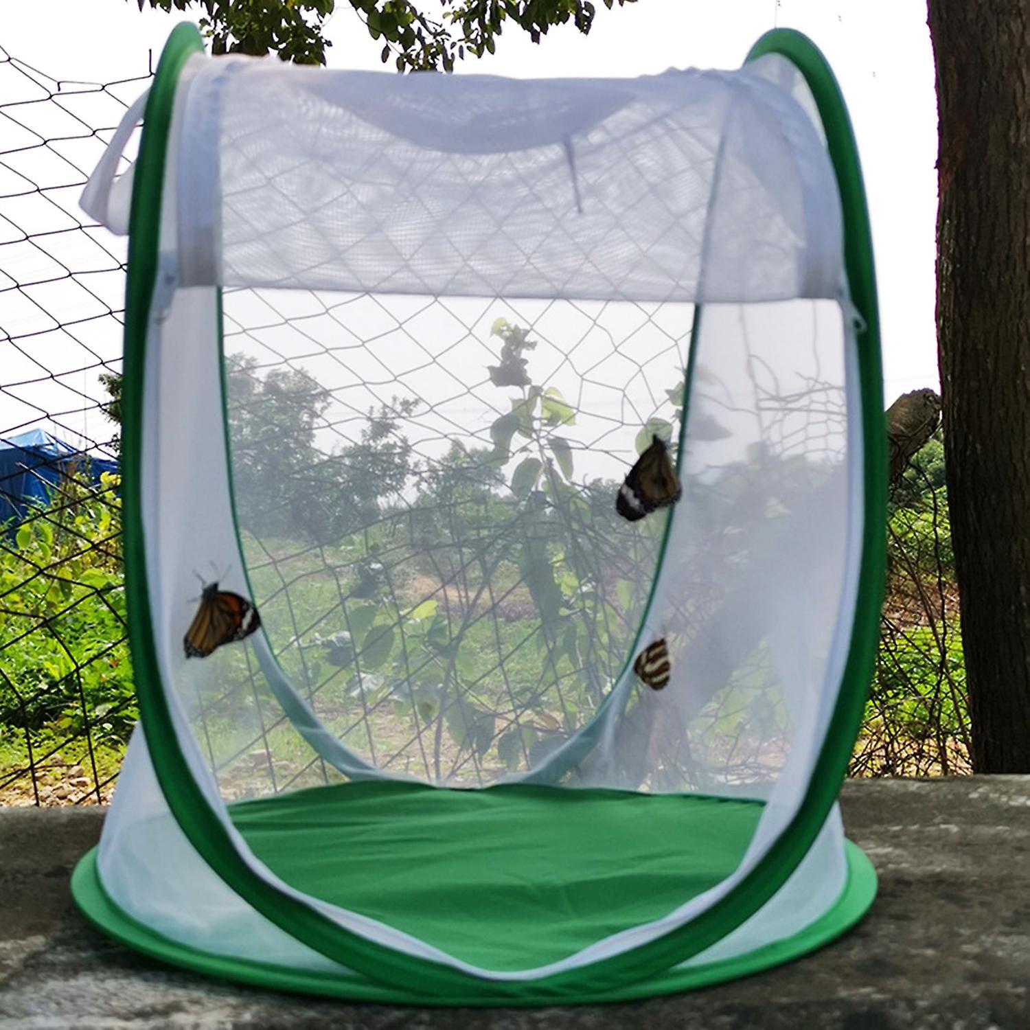ZHOUBA Insect Cage Foldable Easy to Carry Green Insect Mesh Cage Terrarium for Garden