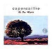 Capercaillie : To The Moon CD (1995)
