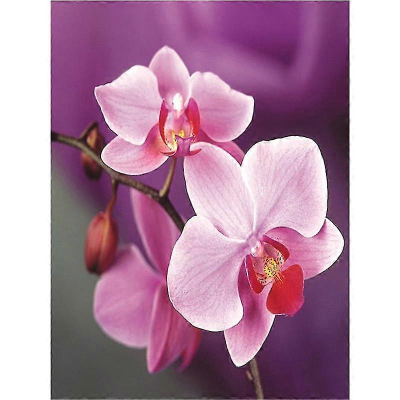 5D دي الماس اللوحة كيت جميلة زهرة الماس الفن التطريز أحجار الراين الزينة للمنزل