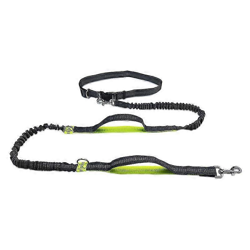 Hands Free Dog Lead With Reflective Bungee,adjustable Waist Belt,dual-handle Dog Leash